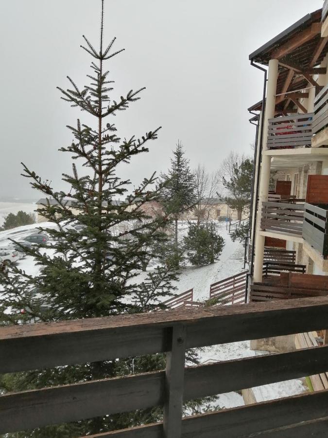 Appartamento Soleil Et Montagne Batiment E Les Angles  Esterno foto